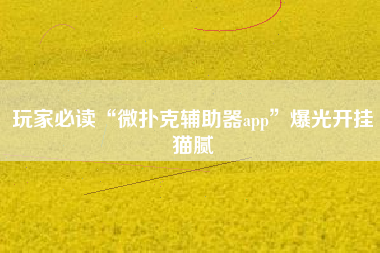 玩家必读“微扑克辅助器app”爆光开挂猫腻