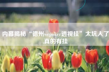 内幕揭秘“德州wepoker透视挂	”太坑人了,真的有挂