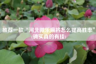 推荐一款“河北微乐麻将怎么提高胜率”(确实真的有挂)