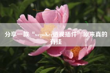 分享一款“wepoKer透视插件	”原来真的有挂