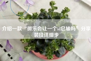 介绍一款“微乐会让一个id总输吗”分享装挂详细步