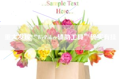 重大发现“WePoker辅助工具”确实有挂