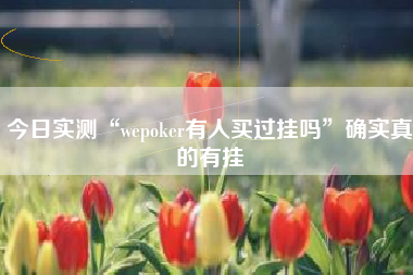 今日实测“wepoker有人买过挂吗”确实真的有挂