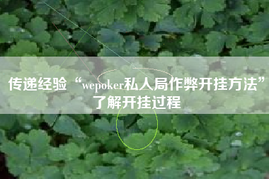 传递经验“wepoker私人局作弊开挂方法”了解开挂过程