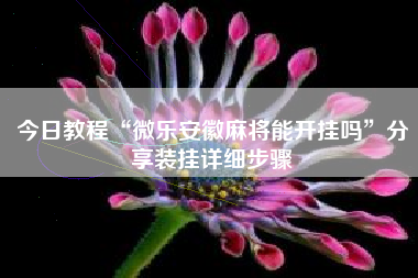 今日教程“微乐安徽麻将能开挂吗”分享装挂详细步骤