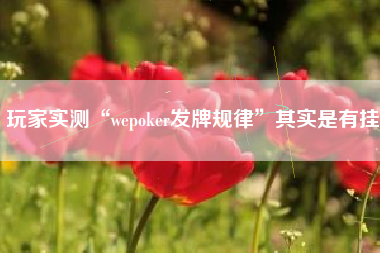 玩家实测“wepoker发牌规律”其实是有挂