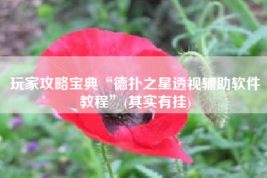 玩家攻略宝典“德扑之星透视辅助软件教程”(其实有挂)