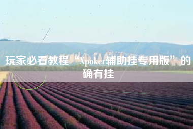 玩家必看教程“Xpoker辅助挂专用版”的确有挂