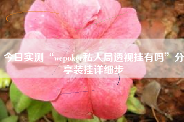 今日实测“wepoker私人局透视挂有吗	”分享装挂详细步
