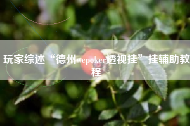 玩家综述“德州wepoker透视挂”挂辅助教程
