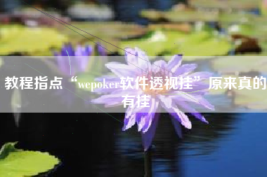 教程指点“wepoker软件透视挂	”原来真的有挂