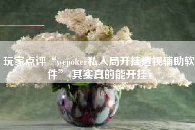 玩家点评“wepoker私人局开挂透视辅助软件”(其实真的能开挂)