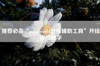 推荐必备“pokerworld透视辅助工具”开挂详细教学