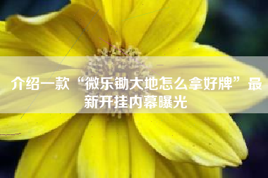 介绍一款“微乐锄大地怎么拿好牌”最新开挂内幕曝光