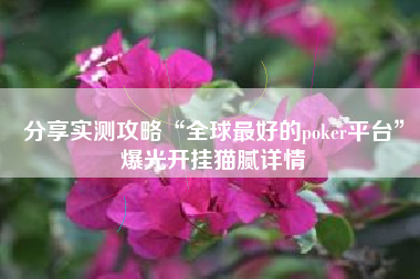 分享实测攻略“全球最好的poker平台”爆光开挂猫腻详情
