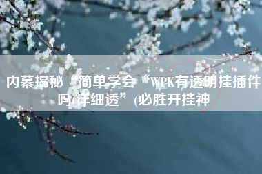 内幕揭秘“简单学会“WPK有透明挂插件吗(详细透”(必胜开挂神