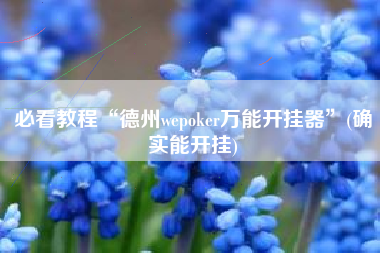 必看教程“德州wepoker万能开挂器”(确实能开挂)