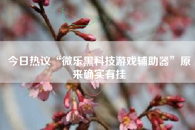 今日热议“微乐黑科技游戏辅助器”原来确实有挂