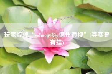 玩家综述“sohoopoker德州透视”(其实是有挂)