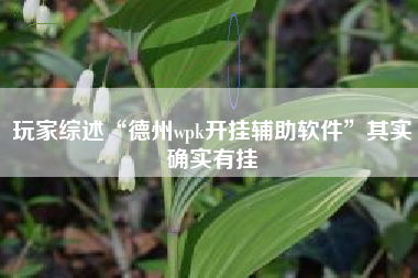 玩家综述“德州wpk开挂辅助软件”其实确实有挂