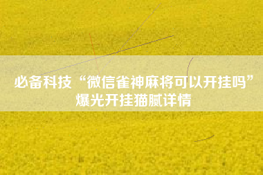 必备科技“微信雀神麻将可以开挂吗”爆光开挂猫腻详情