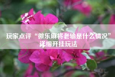 玩家点评“微乐麻将老输是什么情况”详细开挂玩法