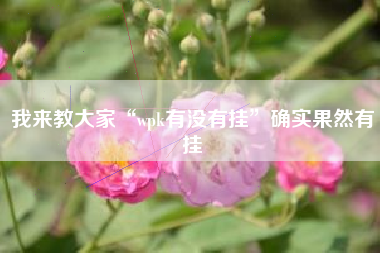 我来教大家“wpk有没有挂”确实果然有挂