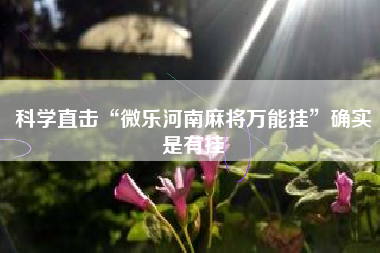 科学直击“微乐河南麻将万能挂	”确实是有挂