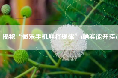 揭秘“微乐手机麻将规律”(确实能开挂)