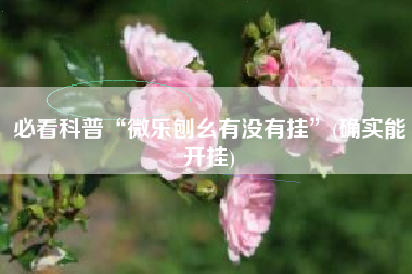 必看科普“微乐刨幺有没有挂”(确实能开挂)