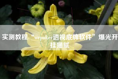 实测教程“wepoker透视底牌软件”爆光开挂猫腻