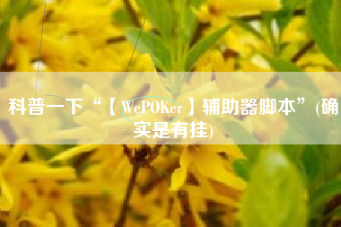 科普一下“【WePOKer】辅助器脚本	”(确实是有挂)