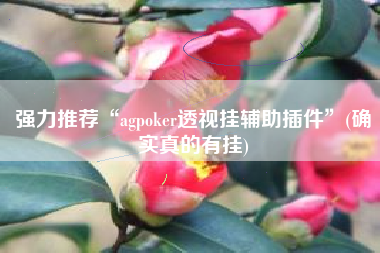 强力推荐“agpoker透视挂辅助插件	”(确实真的有挂)