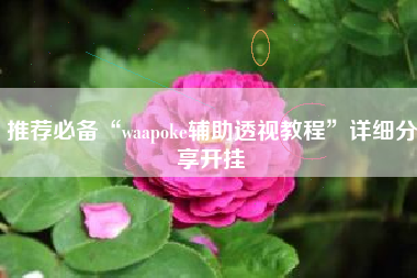 推荐必备“waapoke辅助透视教程”详细分享开挂