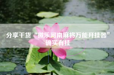 分享干货“微乐河南麻将万能开挂器”确实有挂
