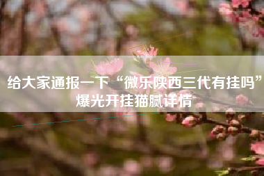 给大家通报一下“微乐陕西三代有挂吗”爆光开挂猫腻详情