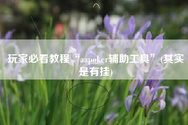 玩家必看教程“aapoker辅助工具	”(其实是有挂)