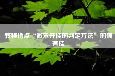 教程指点“微乐开挂的判定方法	”的确有挂