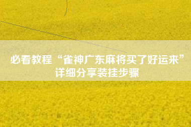 必看教程“雀神广东麻将买了好运来”详细分享装挂步骤