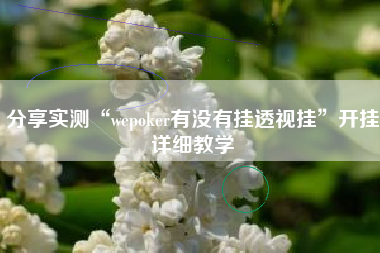 分享实测“wepoker有没有挂透视挂”开挂详细教学
