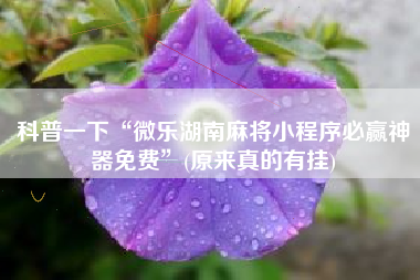 科普一下“微乐湖南麻将小程序必赢神器免费	”(原来真的有挂)