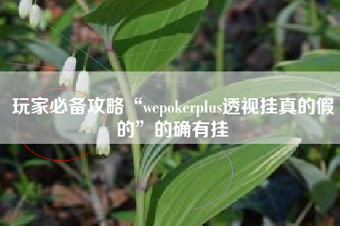 玩家必备攻略“wepokerplus透视挂真的假的”的确有挂