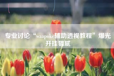 专业讨论“waapoke辅助透视教程”爆光开挂猫腻