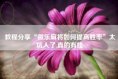 教程分享“微乐麻将如何提高胜率”太坑人了,真的有挂