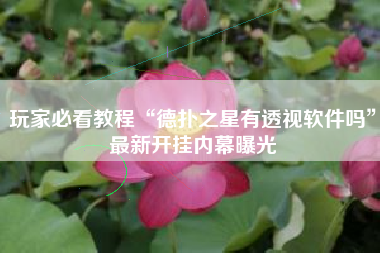 玩家必看教程“德扑之星有透视软件吗”最新开挂内幕曝光