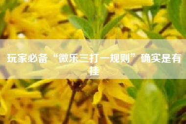 玩家必备“微乐三打一规则	”确实是有挂