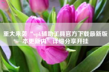 重大来袭“wpk辅助工具官方下载最新版本更新内”详细分享开挂