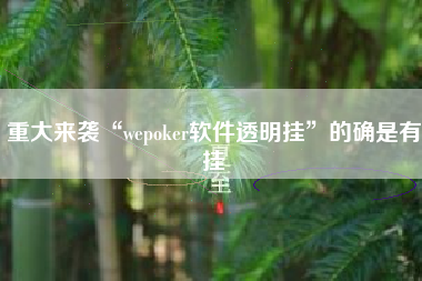 重大来袭“wepoker软件透明挂”的确是有挂