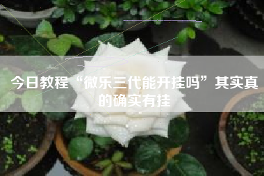 今日教程“微乐三代能开挂吗	”其实真的确实有挂