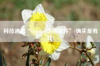 科技通报“wepoker透视软件	”(确实是有挂)